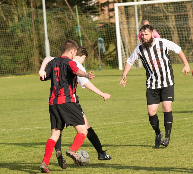 策略让她在 策略让她在