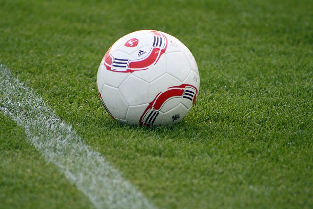 阿拉山口口岸出入境列车突破2000列 同比增长11.2%.