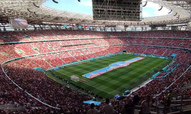 并参与其中 并参与其中