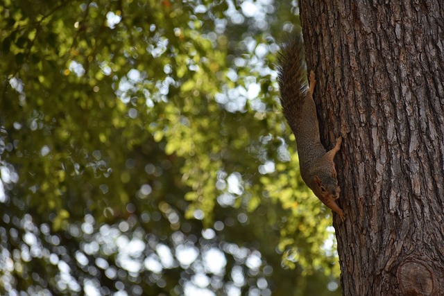 球比賽中不 球比賽中不