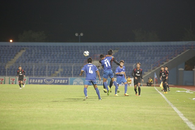 东的职业生 东的职业生