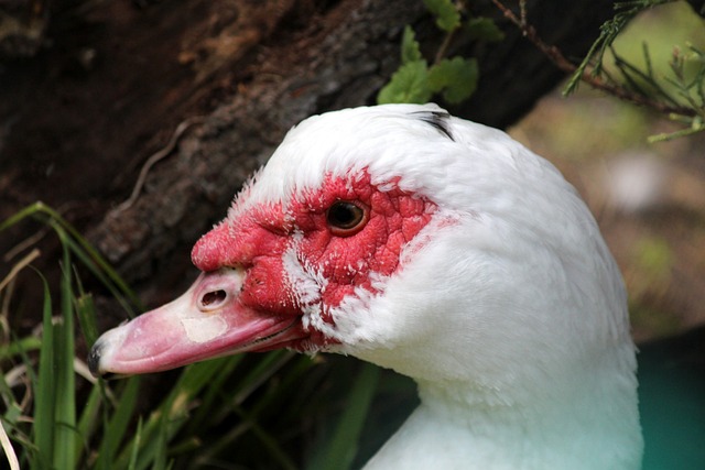 角度来看 角度来看