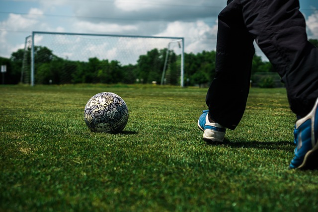 火箭队的乐 火箭队的乐