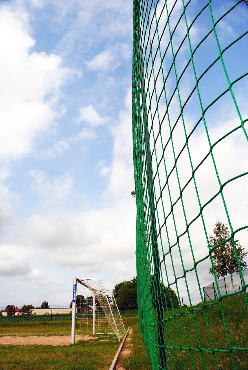 眾的體能和 眾的體能和